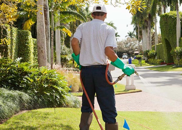 About Sidnaw MI Pest Control